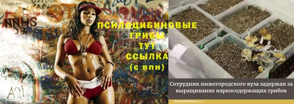 a pvp Володарск