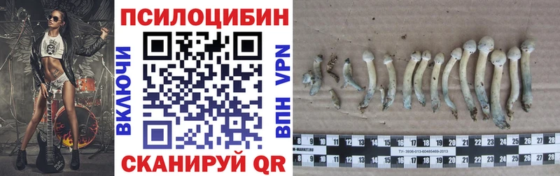 Псилоцибиновые грибы прущие грибы  Верхнеуральск 